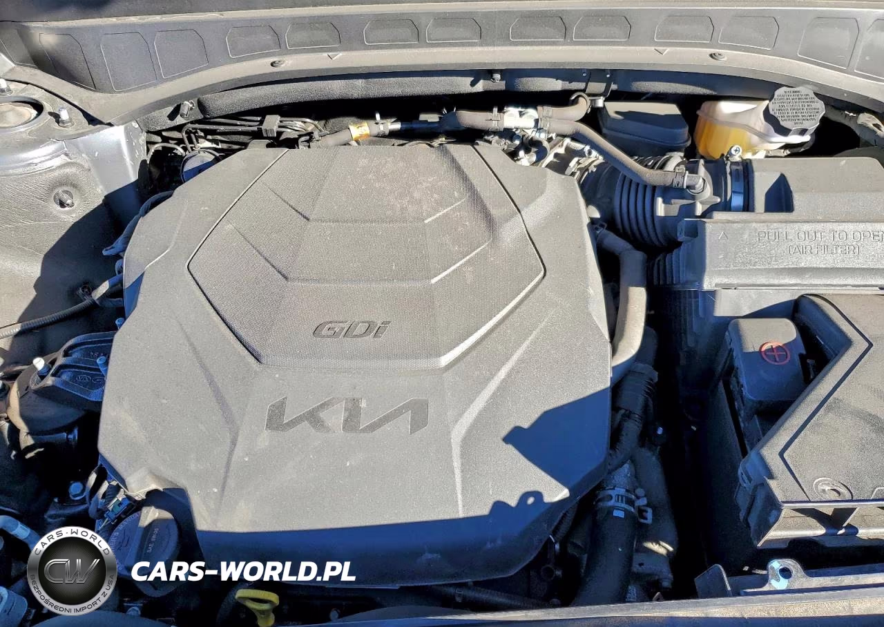 2022 Kia Telluride Lx VIN:5XYP2DHC6NG267207 - 12