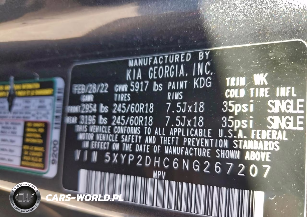 2022 Kia Telluride Lx VIN:5XYP2DHC6NG267207 - 13