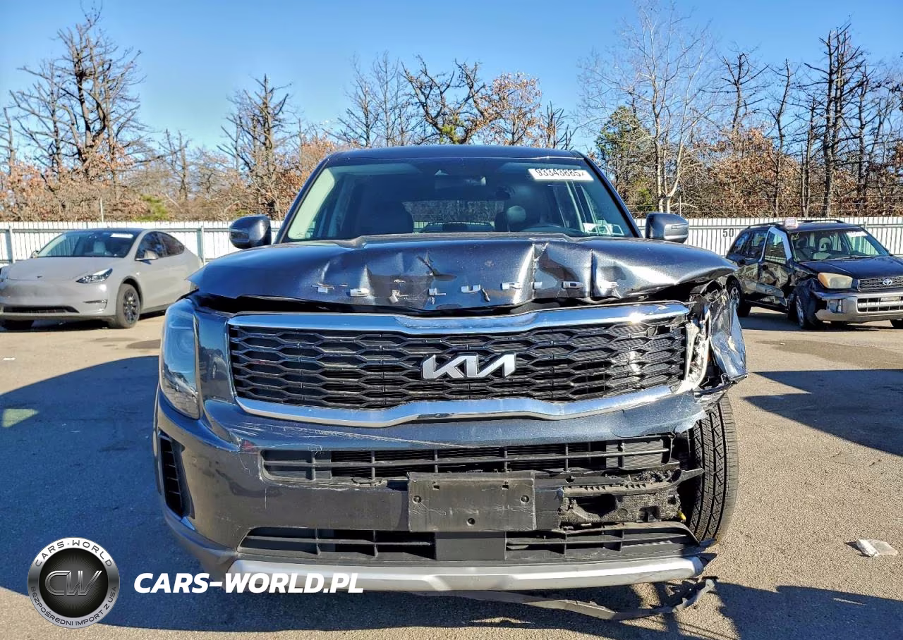2022 Kia Telluride Lx VIN:5XYP2DHC6NG267207 - 5