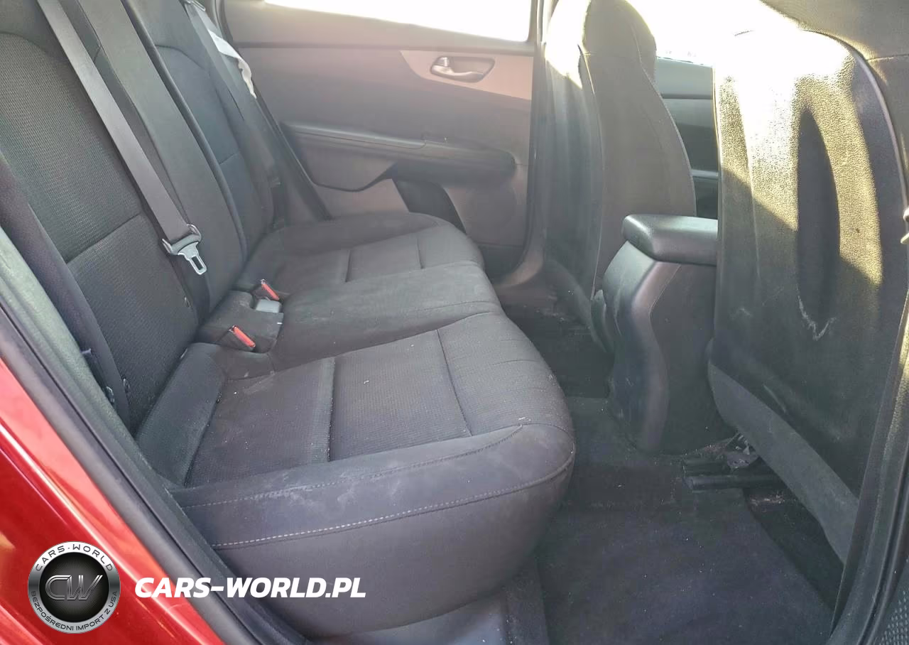 2019 Kia Forte Fe VIN:3KPF24AD1KE129114 - 10