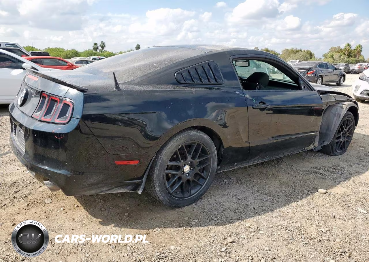 2014 Ford Mustang VIN:1ZVBP8AM6E5320757 - 3