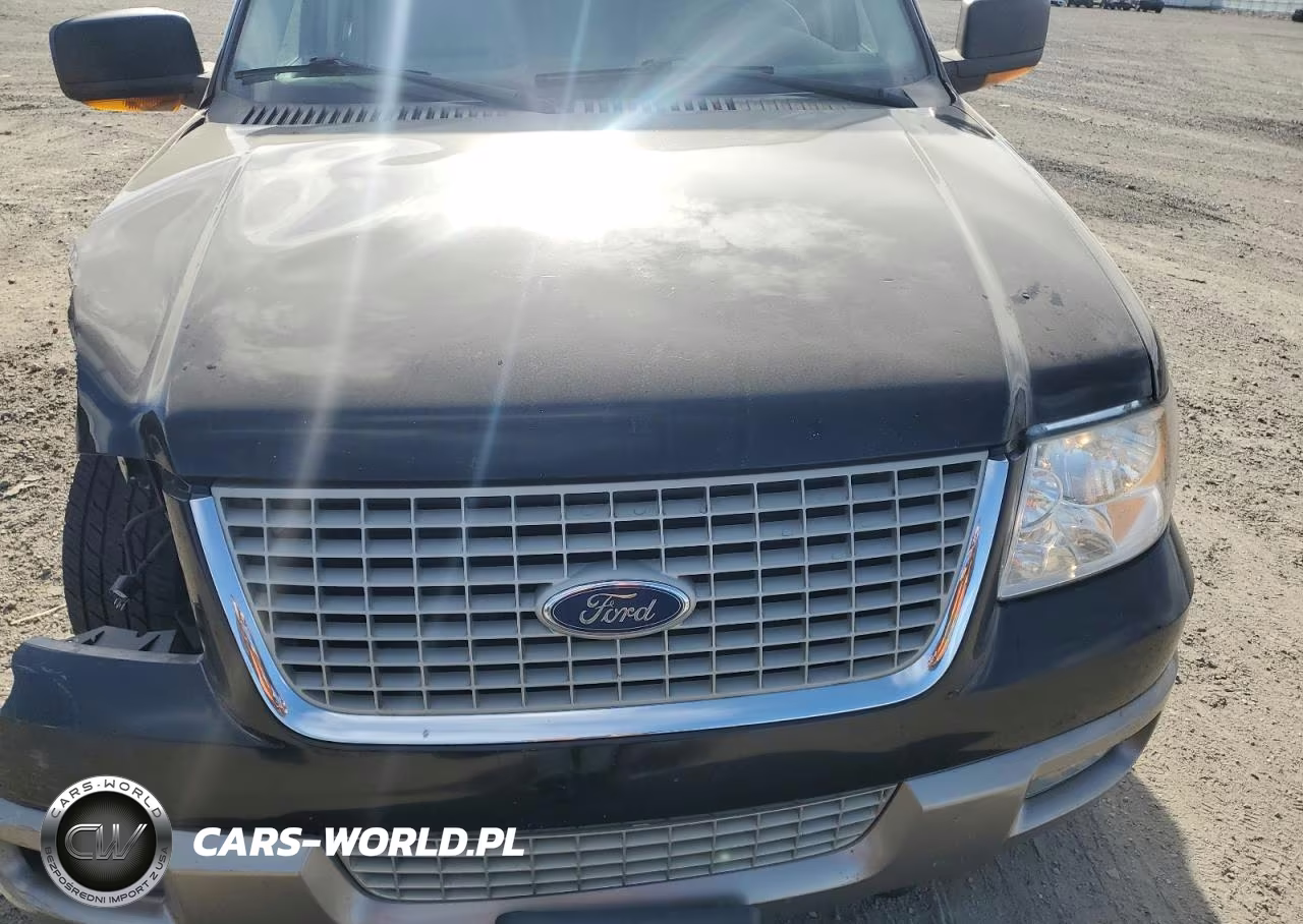 2003 Ford Expedition Eddie Bauer VIN:1FMFU18L73LC57190 - 12
