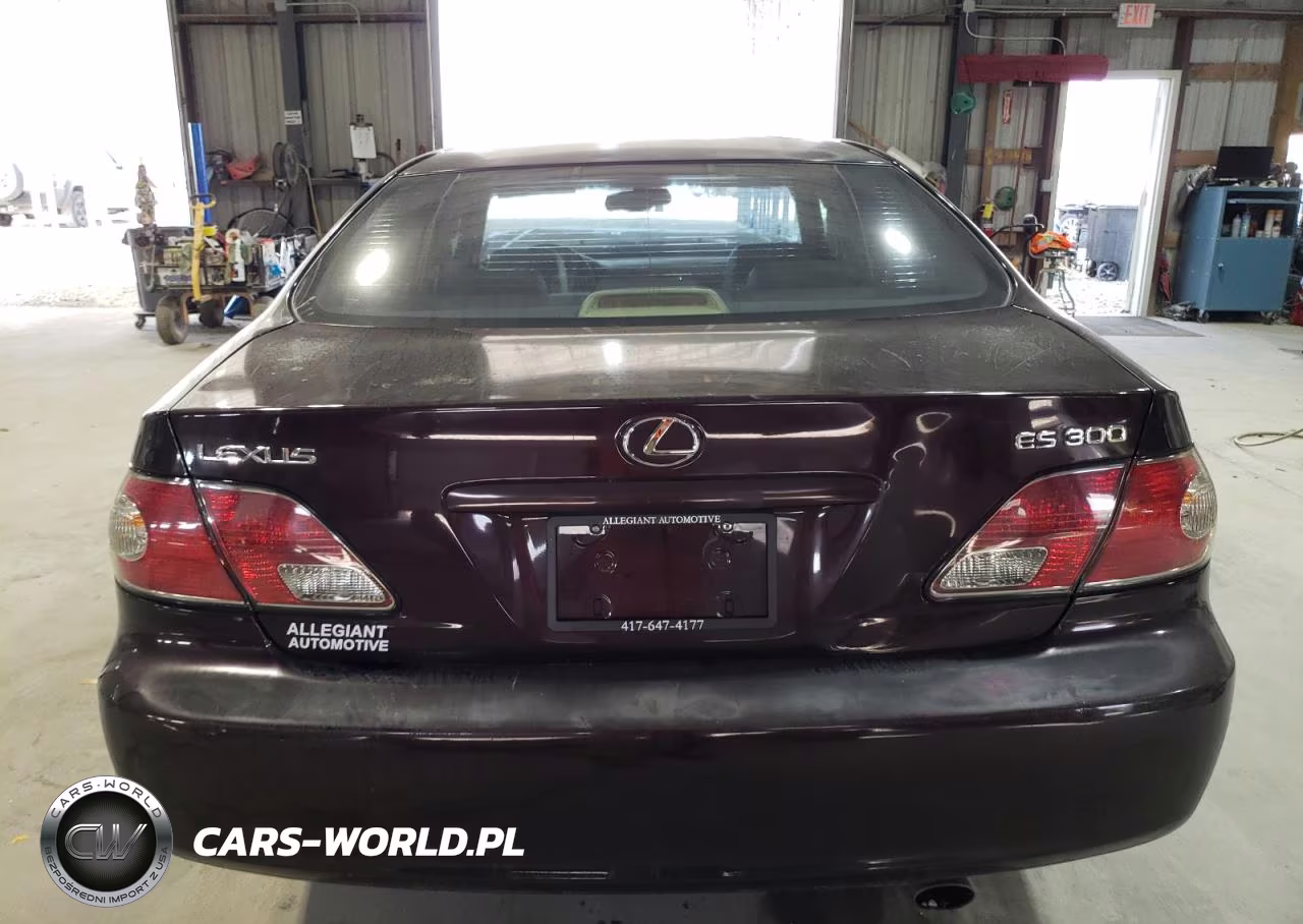 2003 Lexus Es 300 VIN:JTHBF30G630106073 - 6