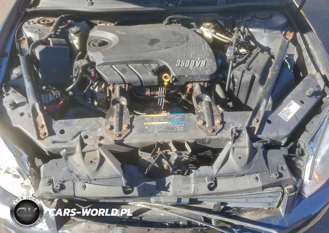 2009 Chevrolet Impala Ls VIN:2G1WB57N491231173 - 11