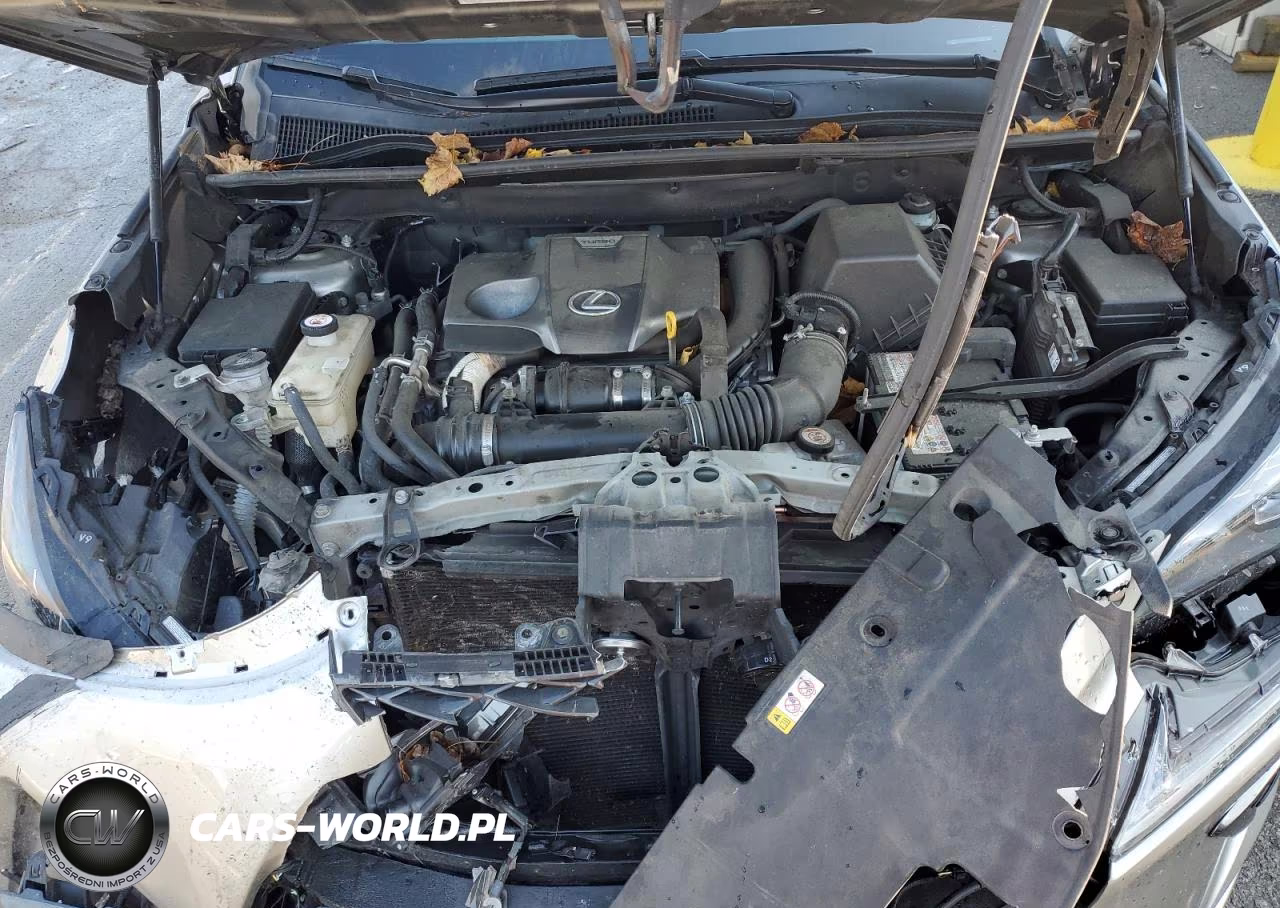 2020 Lexus Nx 300 F Sport VIN:JTJSARDZ7L2234726 - 12