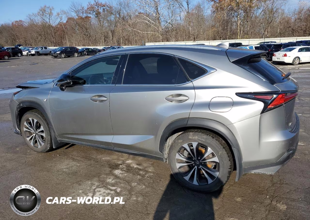 2020 Lexus Nx 300 F Sport VIN:JTJSARDZ7L2234726 - 2