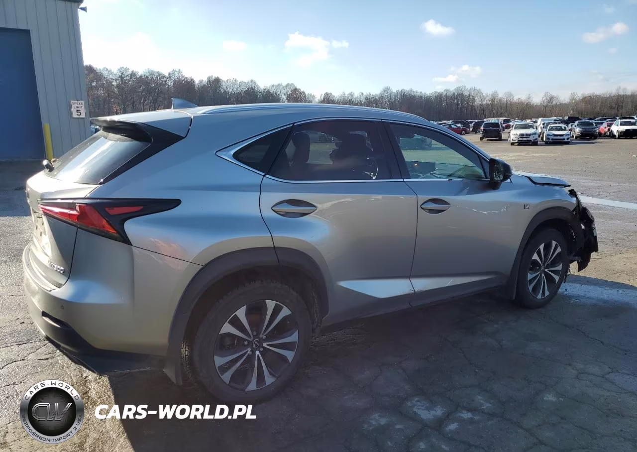 2020 Lexus Nx 300 F Sport VIN:JTJSARDZ7L2234726 - 3