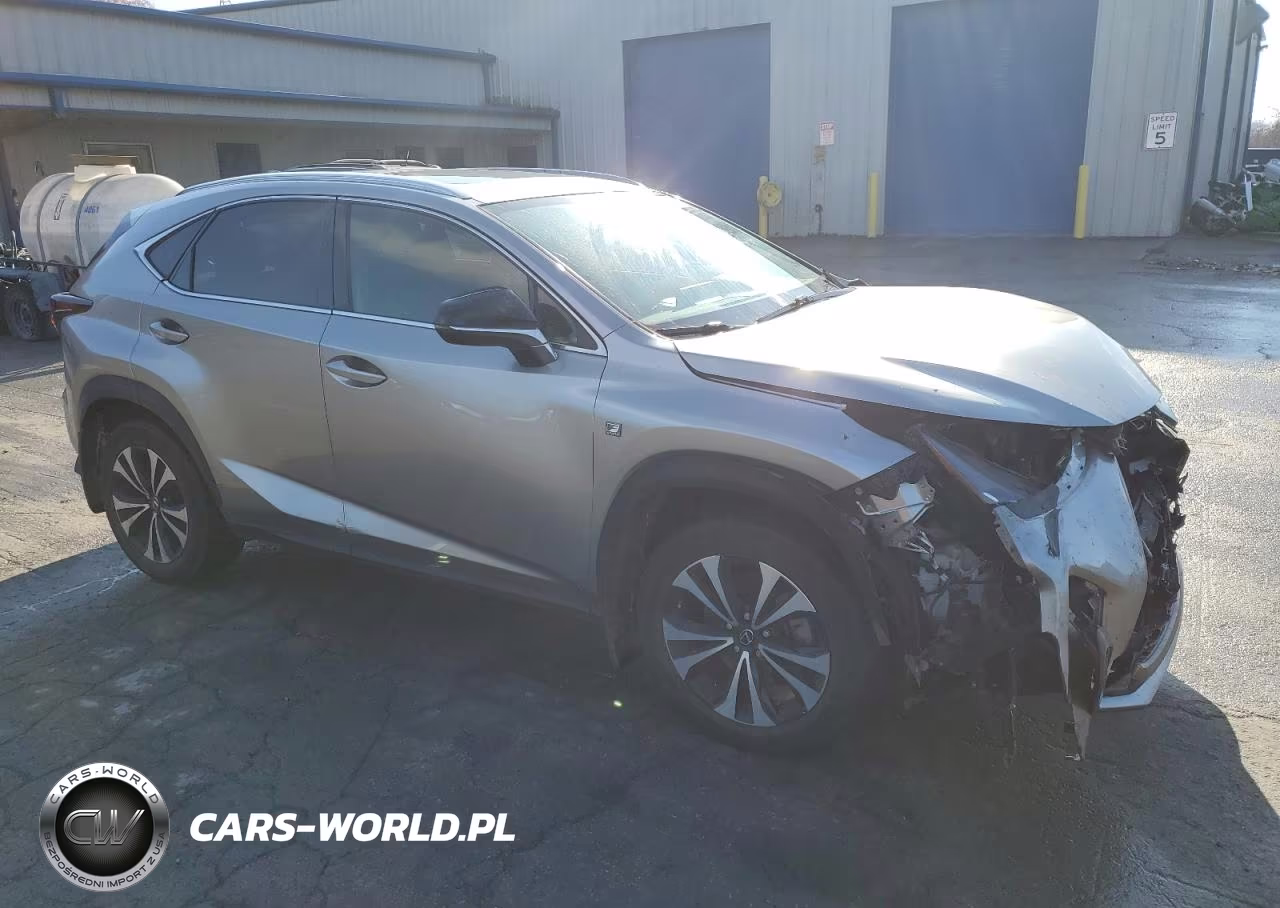 2020 Lexus Nx 300 F Sport VIN:JTJSARDZ7L2234726 - 4