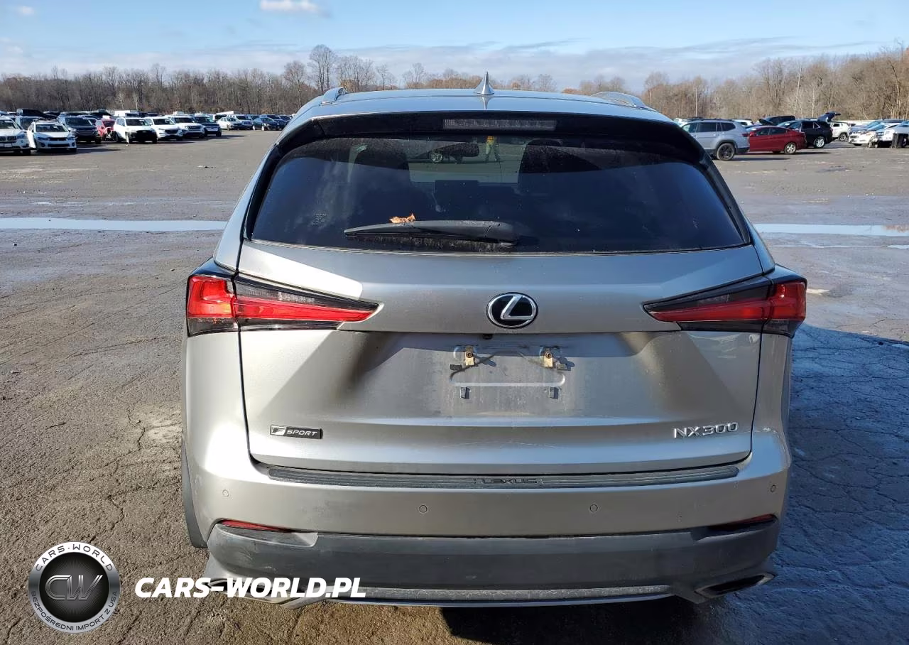 2020 Lexus Nx 300 F Sport VIN:JTJSARDZ7L2234726 - 6