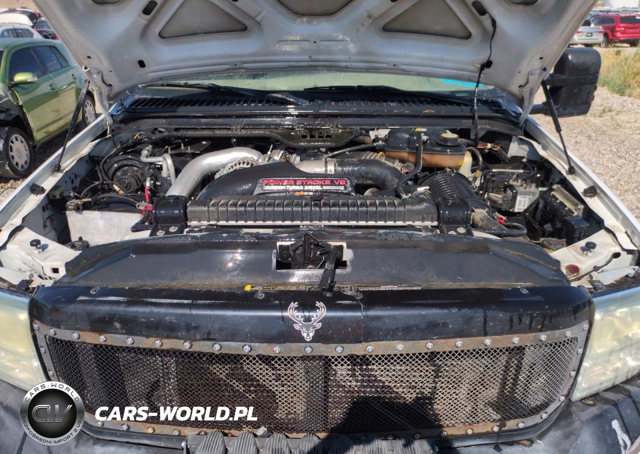 2006 Ford F250 Super Duty VIN:1FTSW21P96ED13512 - 11