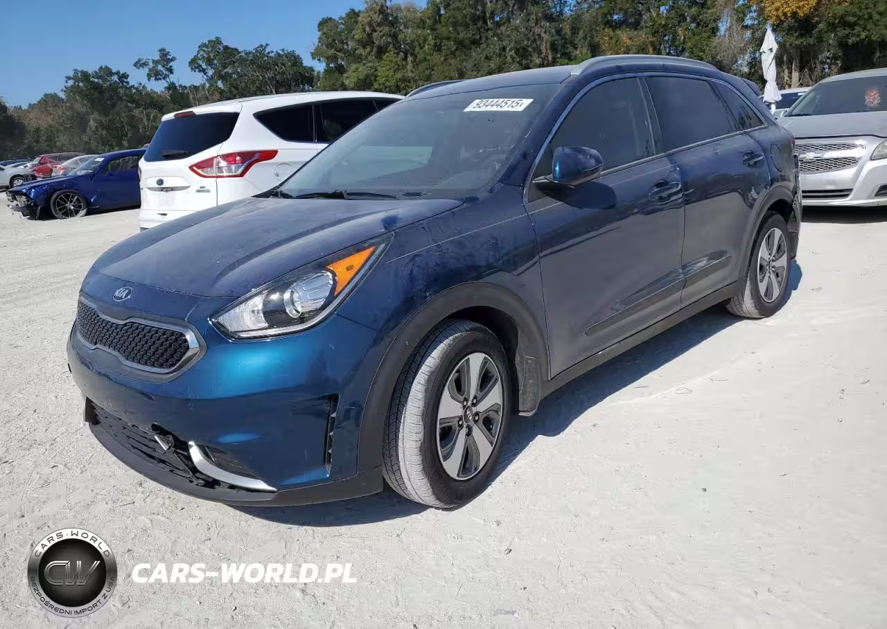 2019 Kia Niro Fe