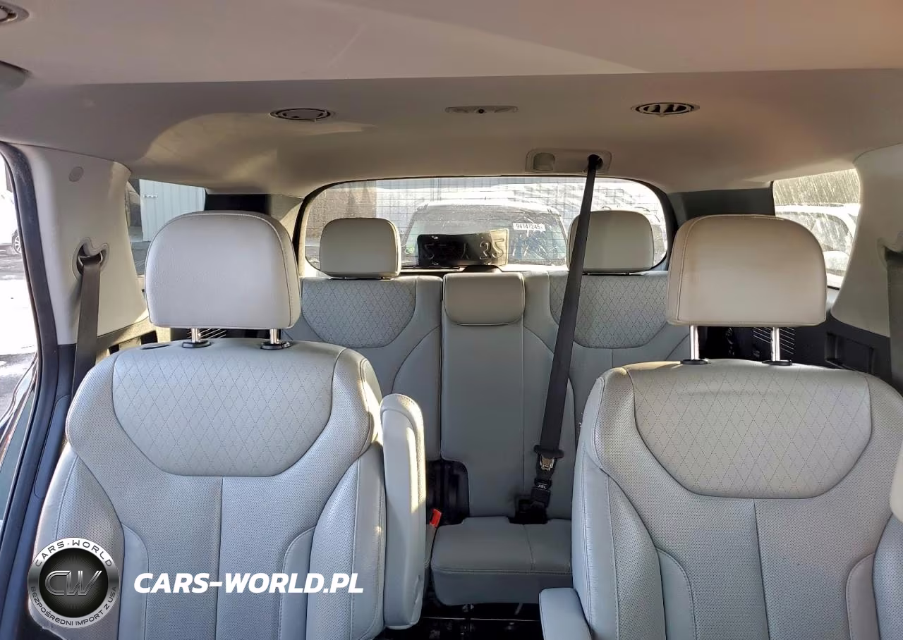 2020 Hyundai Palisade Sel VIN:KM8R4DHE2LU148811 - 10