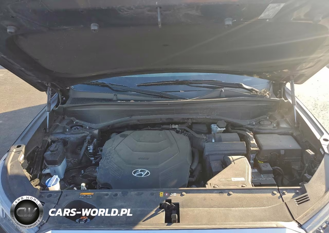 2020 Hyundai Palisade Sel VIN:KM8R4DHE2LU148811 - 12