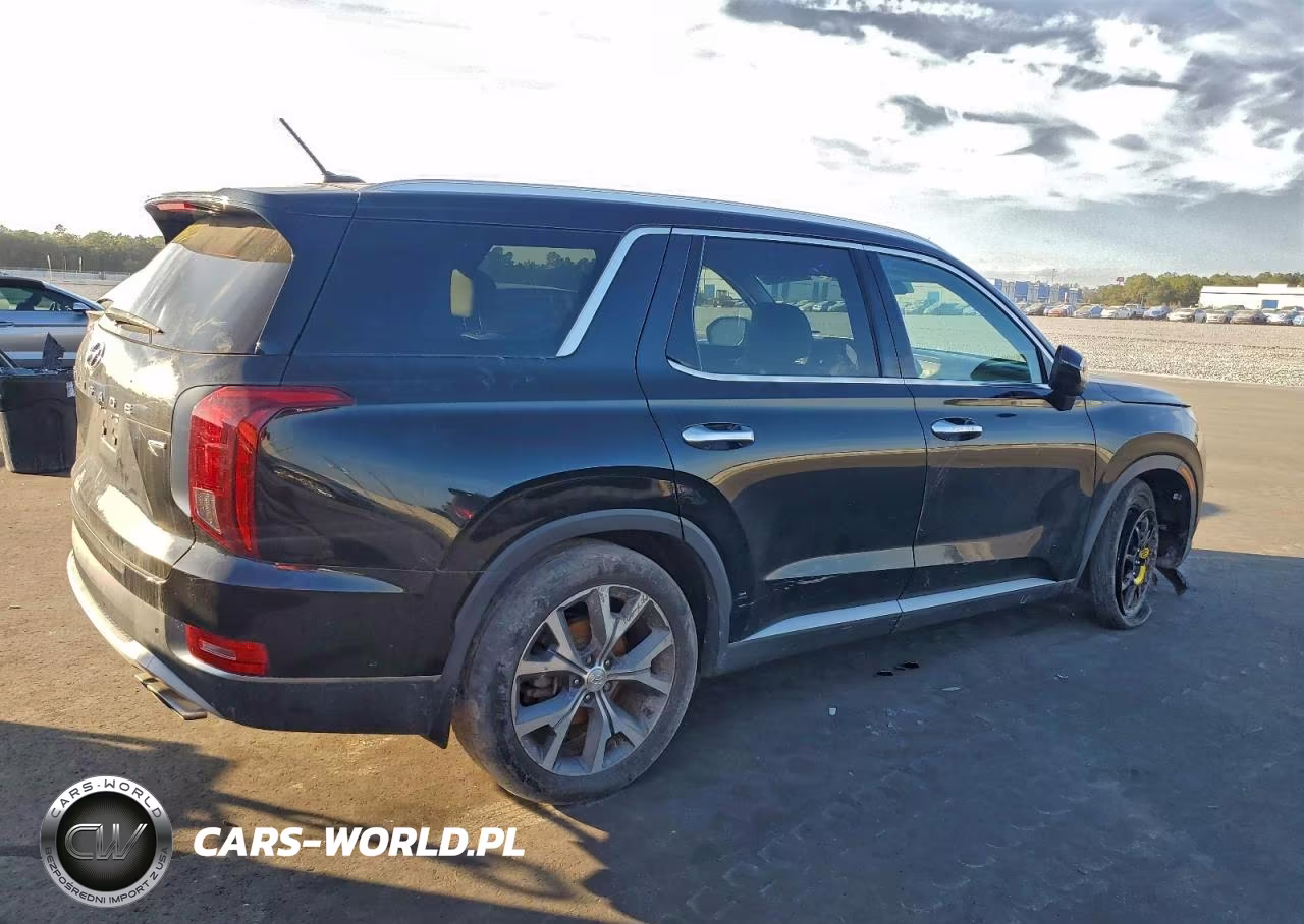 2020 Hyundai Palisade Sel VIN:KM8R4DHE2LU148811 - 3