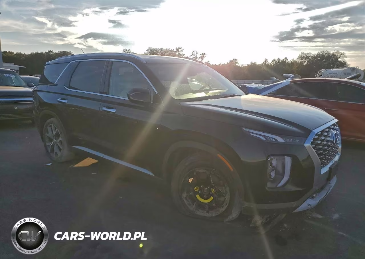 2020 Hyundai Palisade Sel VIN:KM8R4DHE2LU148811 - 4