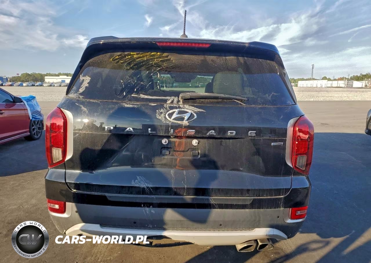 2020 Hyundai Palisade Sel VIN:KM8R4DHE2LU148811 - 6