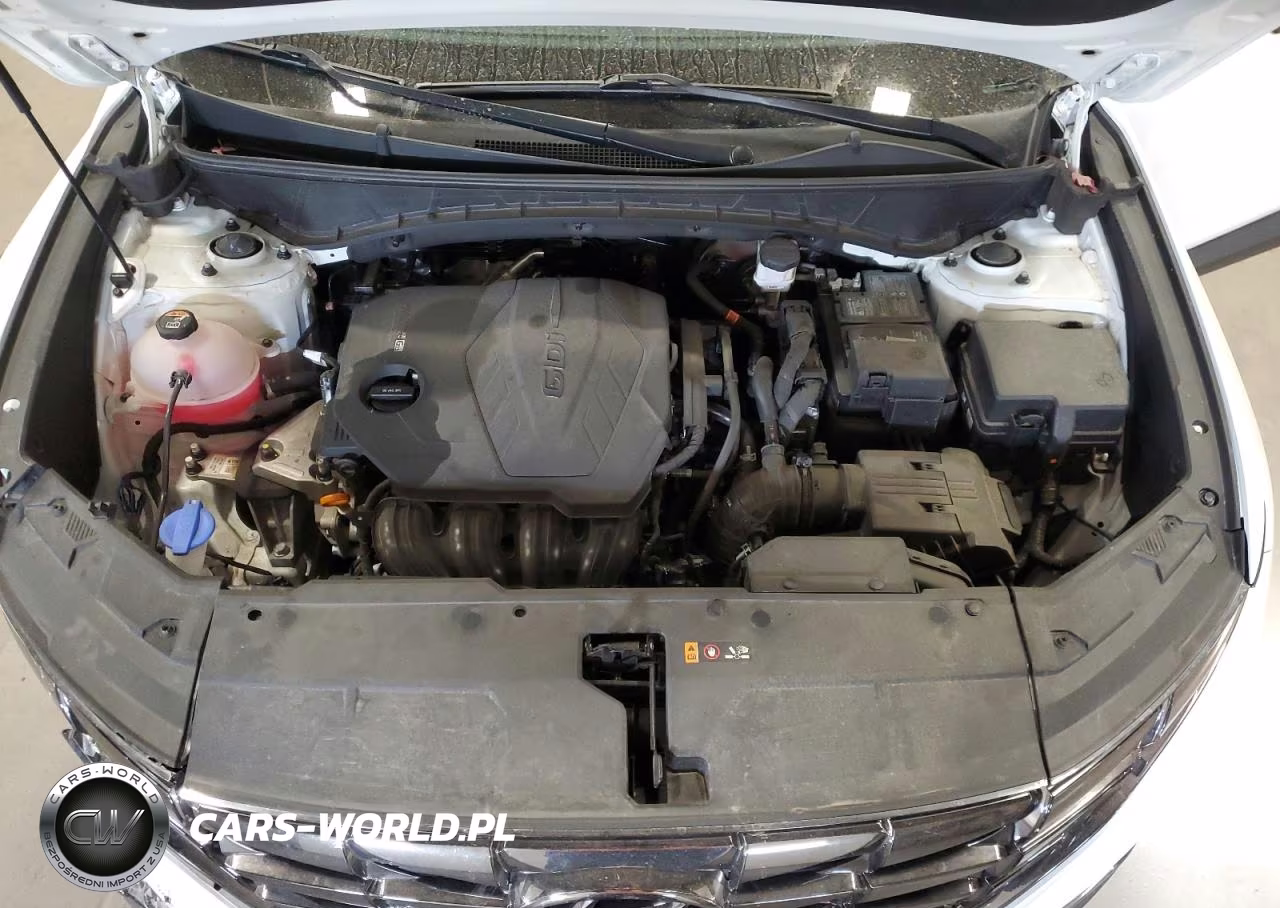 2024 Hyundai Tucson Limited VIN:5NMJECDEXRH328245 - 12