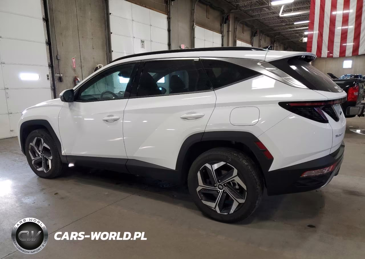 2024 Hyundai Tucson Limited VIN:5NMJECDEXRH328245 - 2