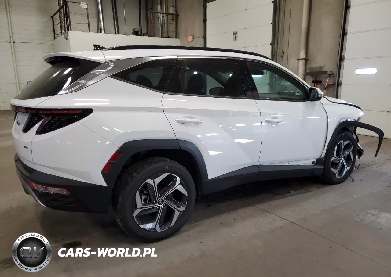 2024 Hyundai Tucson Limited VIN:5NMJECDEXRH328245 - 3