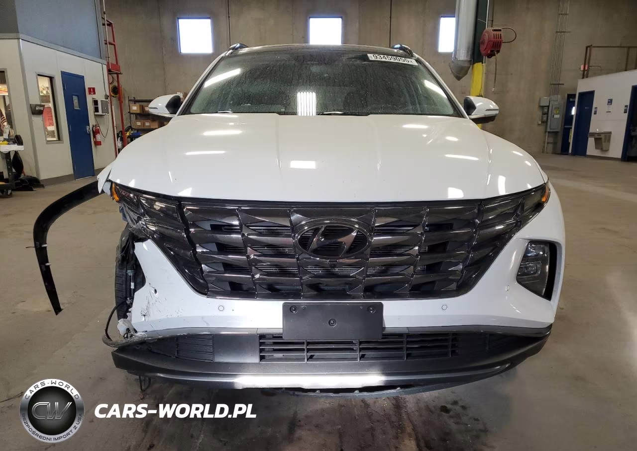 2024 Hyundai Tucson Limited VIN:5NMJECDEXRH328245 - 5