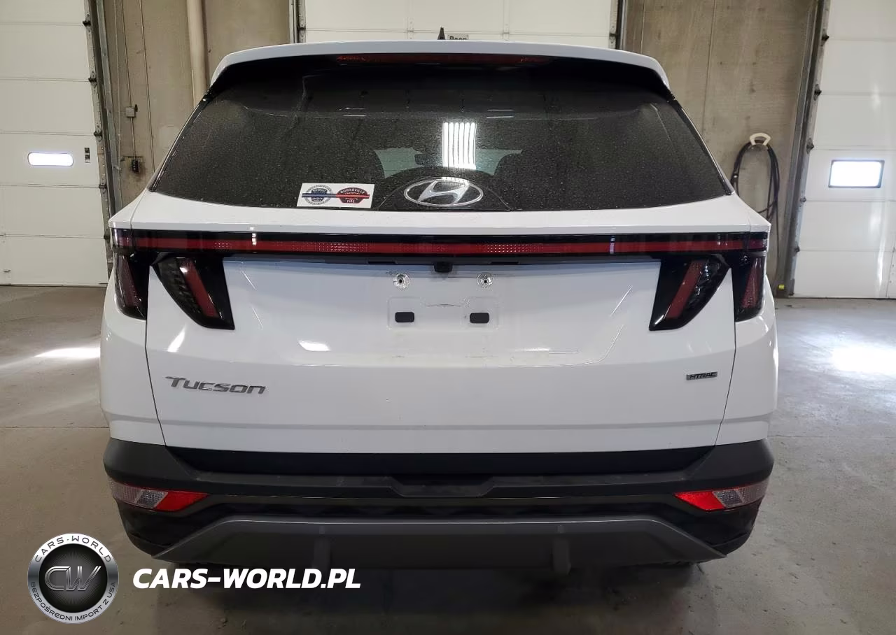 2024 Hyundai Tucson Limited VIN:5NMJECDEXRH328245 - 6