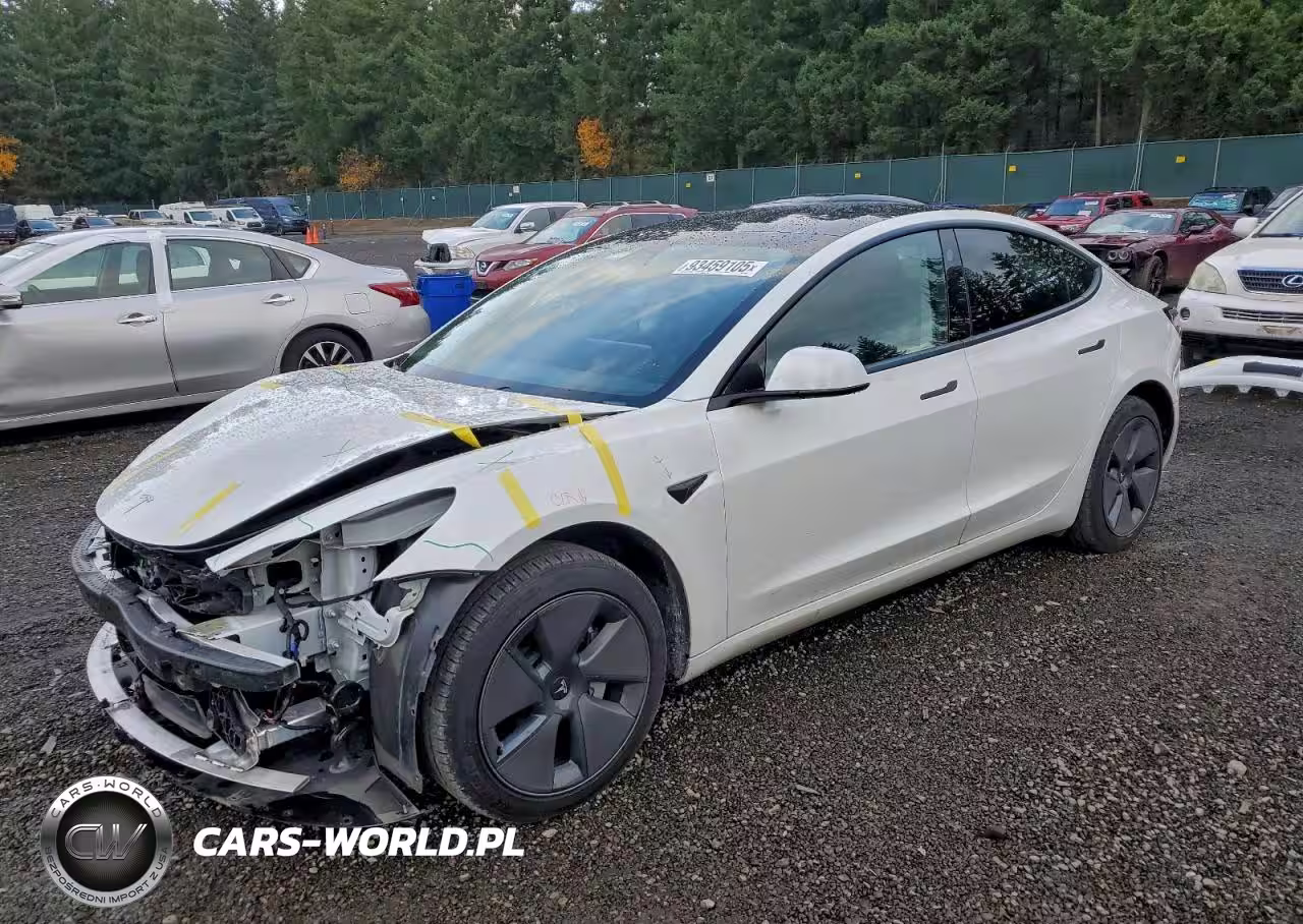 2021 Tesla Model 3