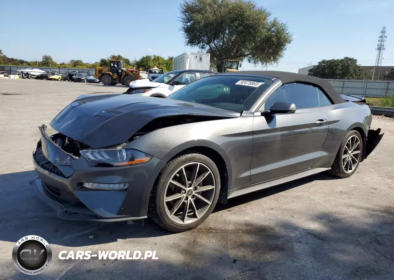 2019 Ford Mustang
