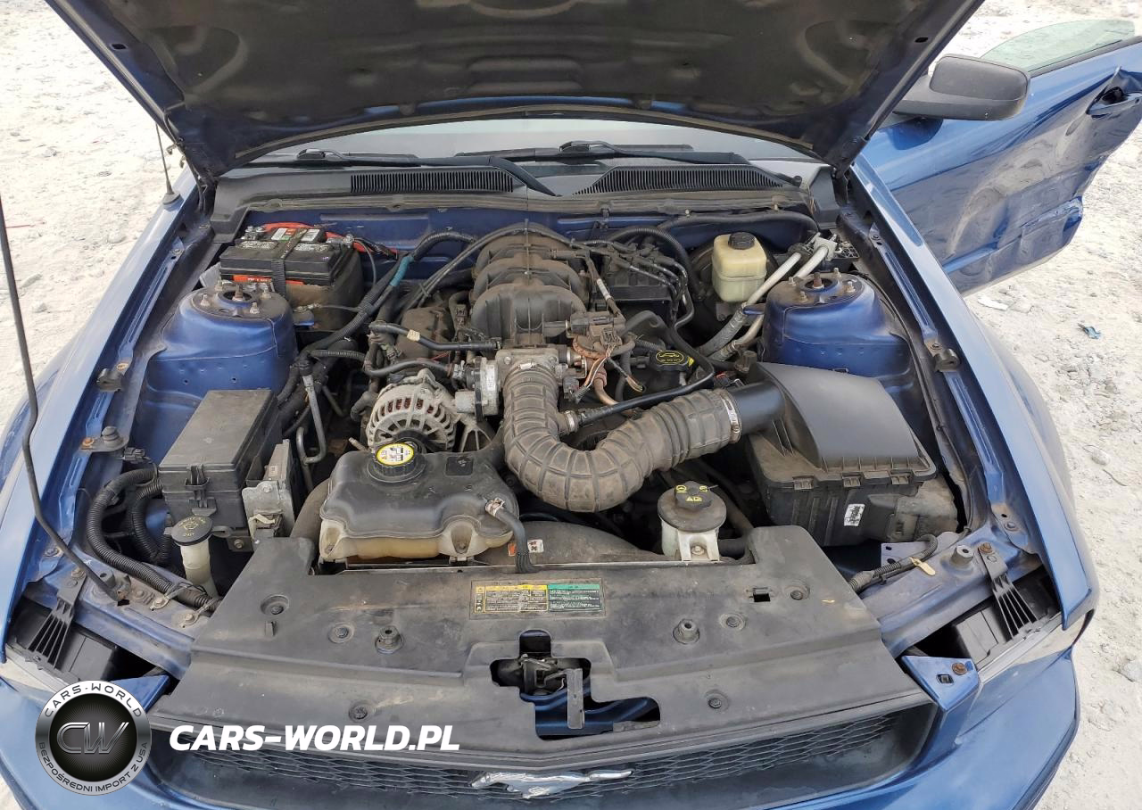 2007 Ford Mustang VIN:1ZVFT80N875370330 - 11