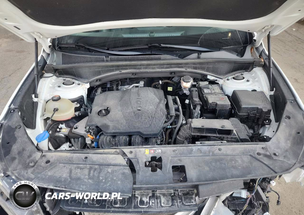 2021 Hyundai Santa Fe Sel VIN:5NMS34AJ8MH339285 - 12