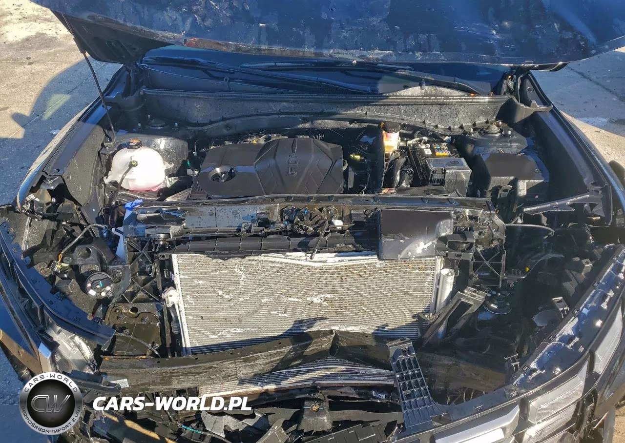 2025 Hyundai Santa Cruz Sel Activity VIN:5NTJC4DE8SH129426 - 11