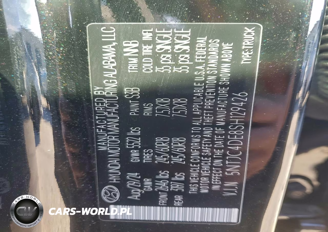 2025 Hyundai Santa Cruz Sel Activity VIN:5NTJC4DE8SH129426 - 13