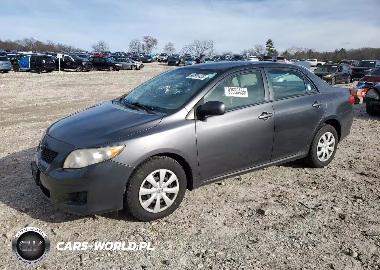 2010 Toyota Corolla Base