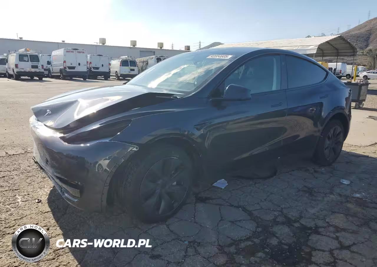 2024 Tesla Model Y