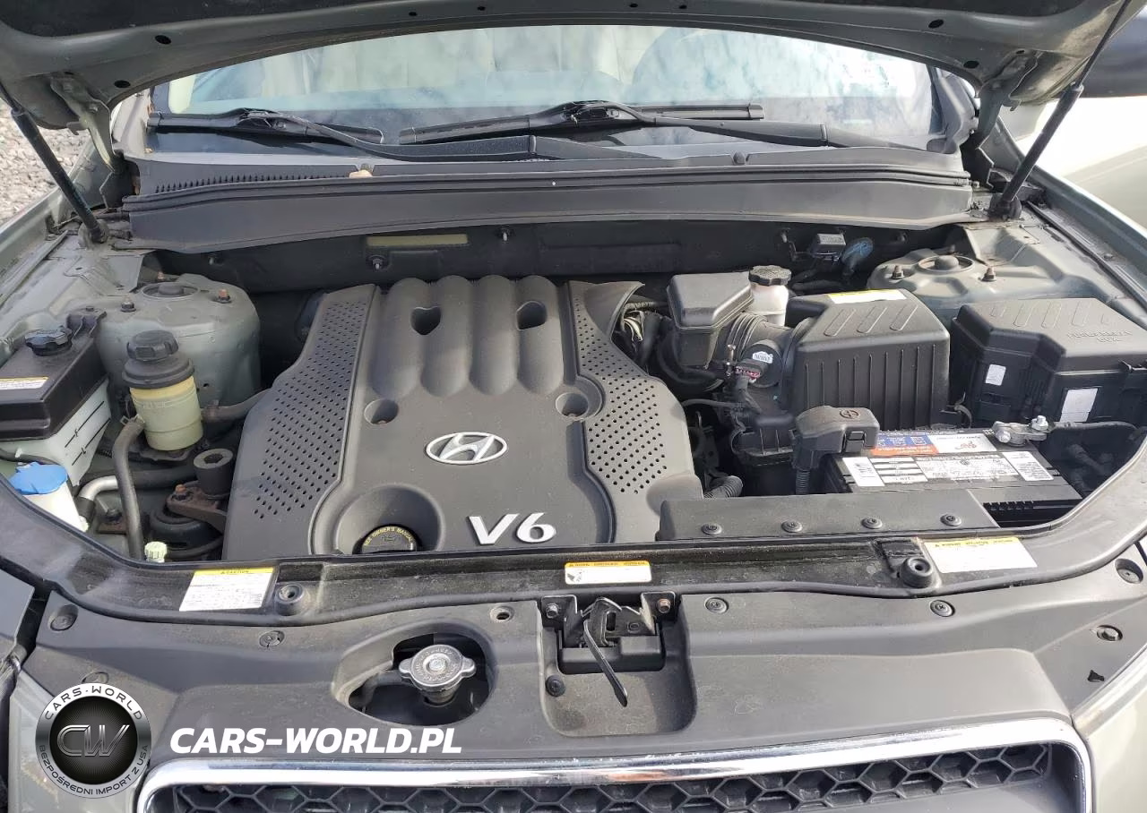 2007 Hyundai Santa Fe Gls VIN:5NMSG13D17H110588 - 12