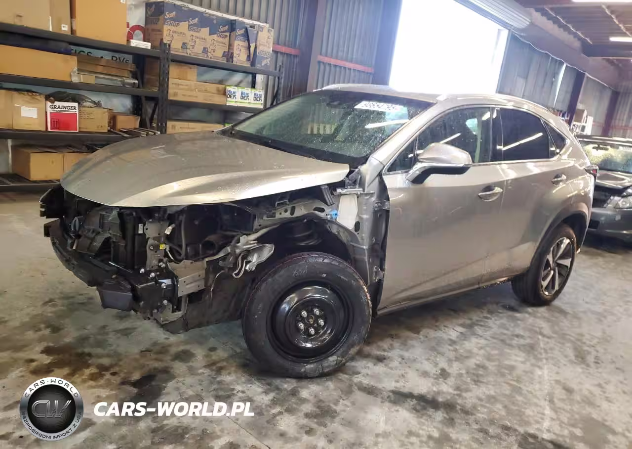 2019 Lexus Nx 300 Base