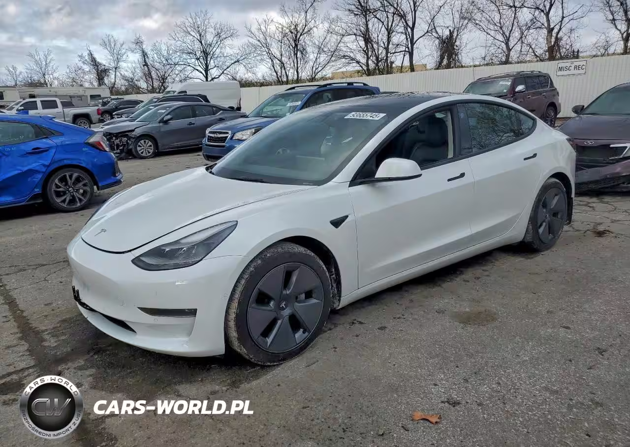2021 Tesla Model 3