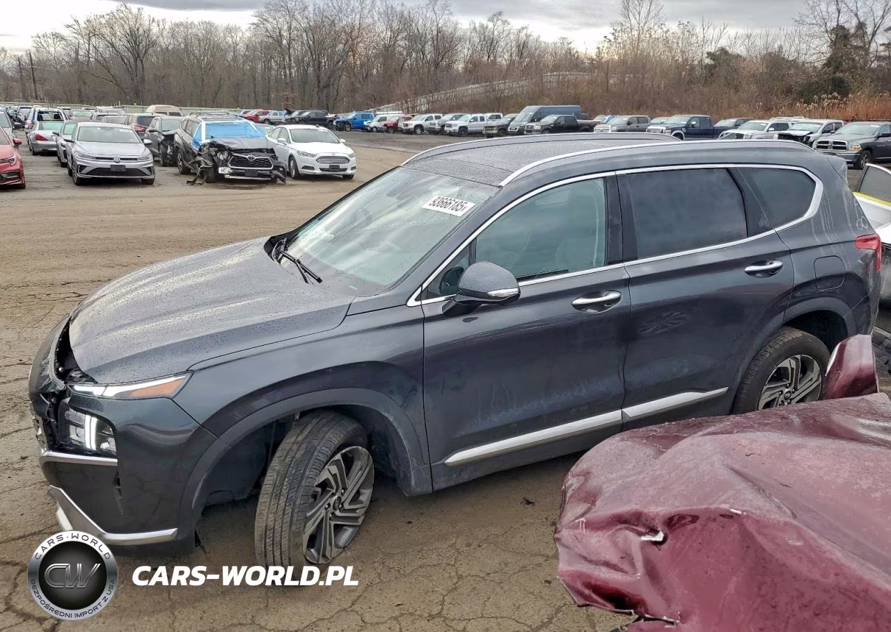 2023 Hyundai Santa Fe Sel Premium – zdjęcie 1 z 14