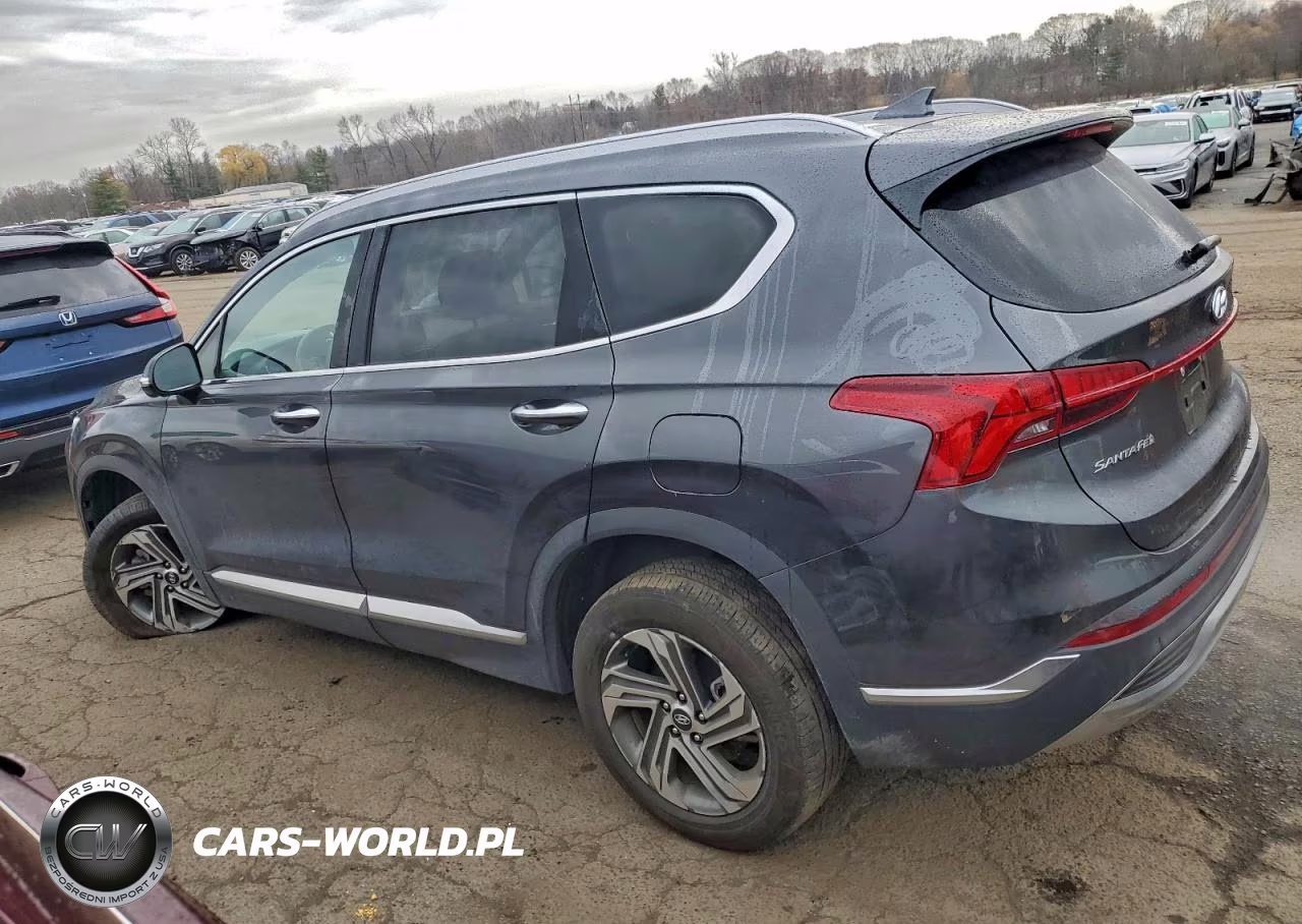 2023 Hyundai Santa Fe Sel Premium VIN:5NMS3DAJ9PH587789 - 2