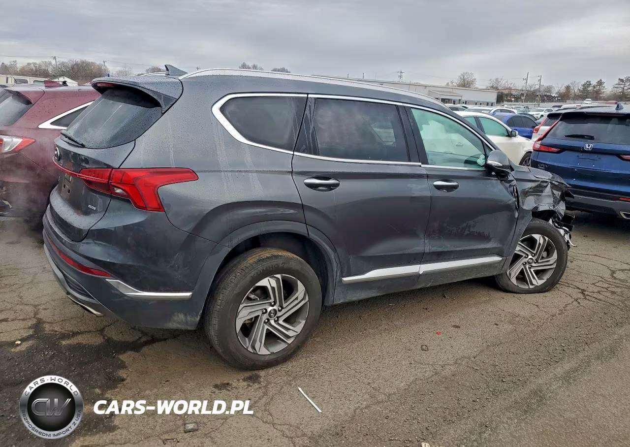 2023 Hyundai Santa Fe Sel Premium VIN:5NMS3DAJ9PH587789 - 3