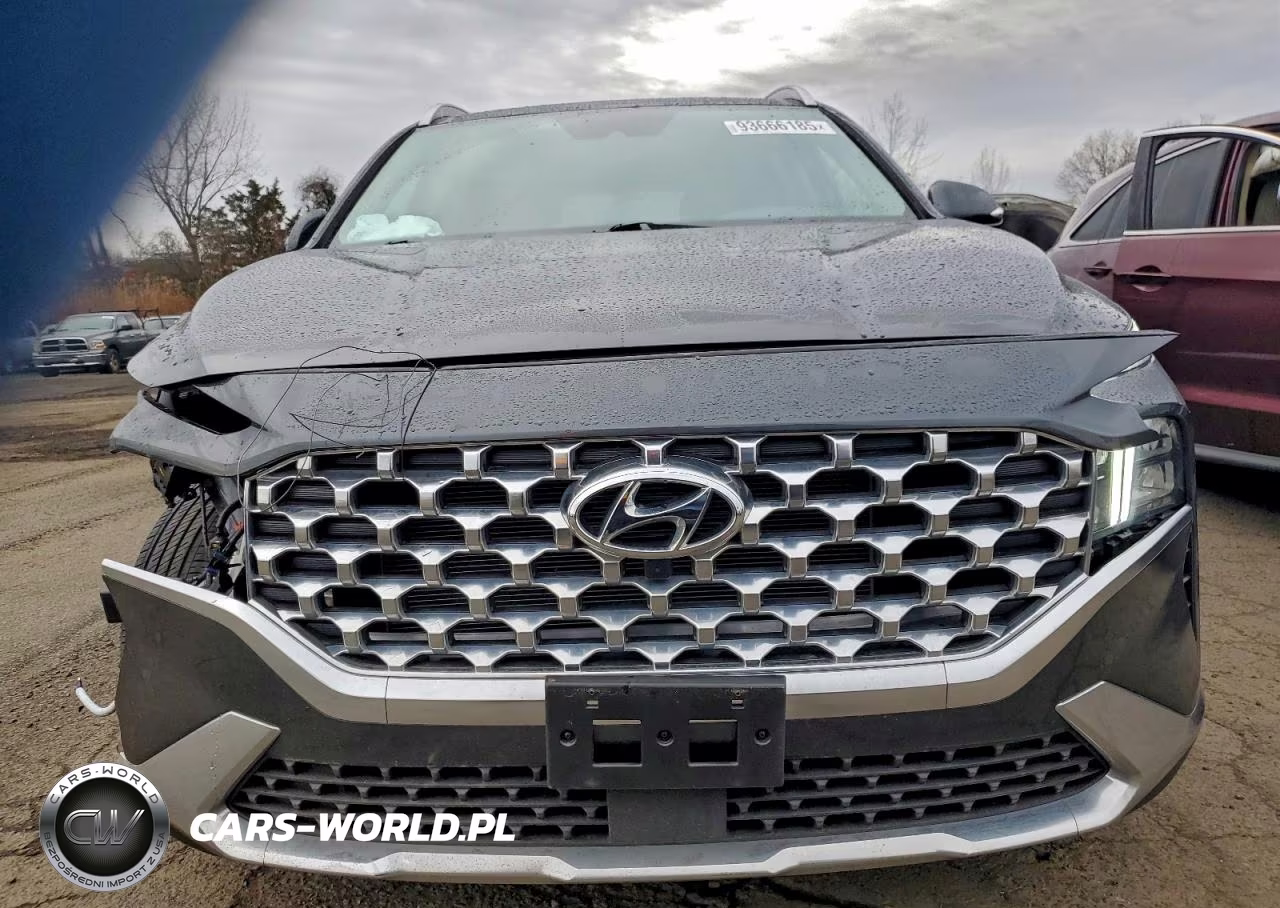 2023 Hyundai Santa Fe Sel Premium VIN:5NMS3DAJ9PH587789 - 5