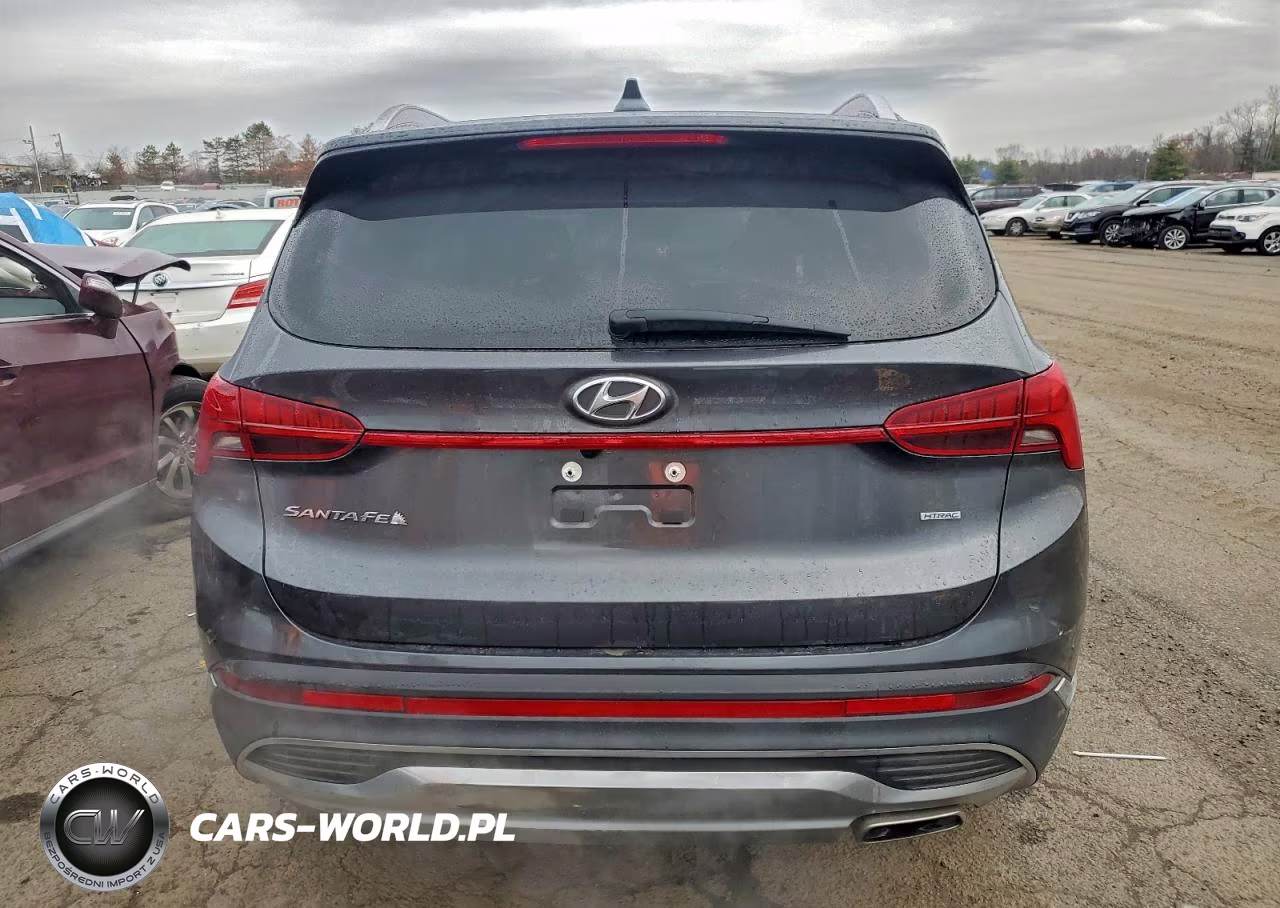 2023 Hyundai Santa Fe Sel Premium VIN:5NMS3DAJ9PH587789 - 6