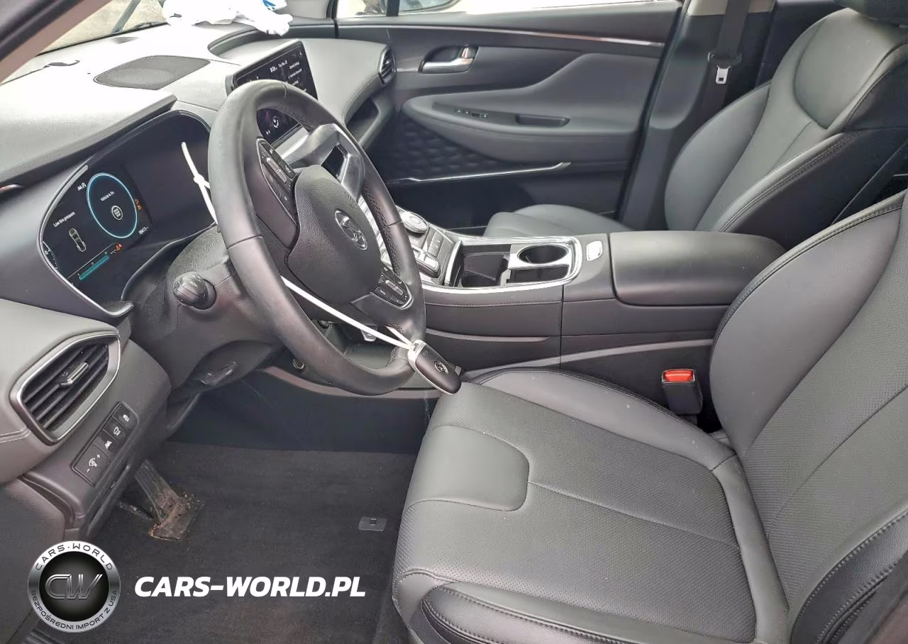 2023 Hyundai Santa Fe Sel Premium VIN:5NMS3DAJ9PH587789 - 7