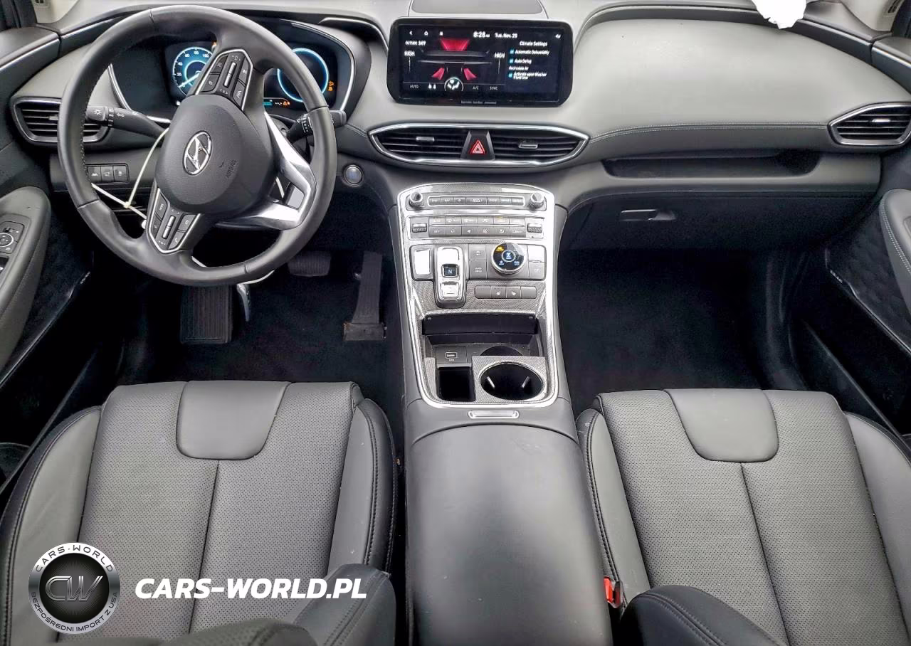 2023 Hyundai Santa Fe Sel Premium VIN:5NMS3DAJ9PH587789 - 8
