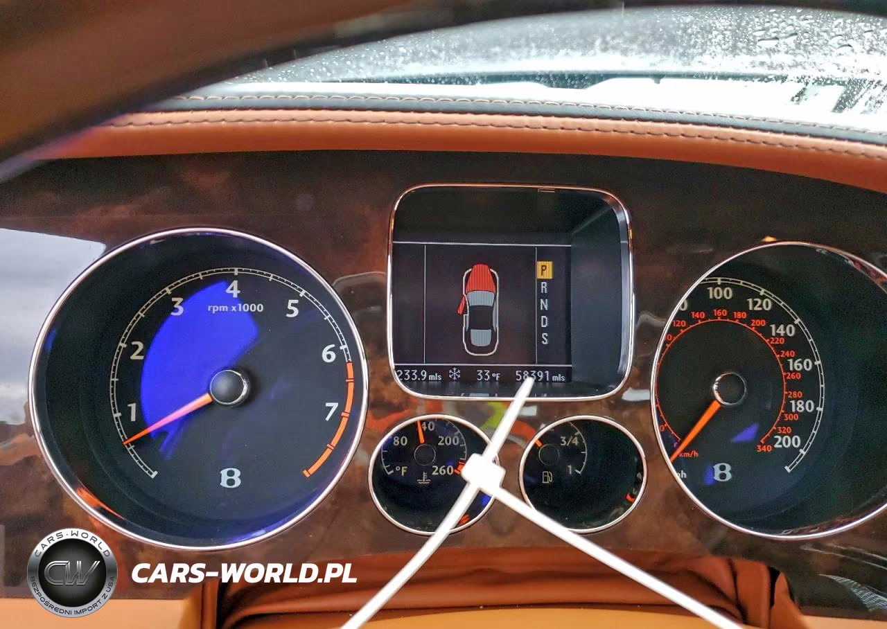 2009 Bentley Continental Flying Spur VIN:SCBBP93W19C061798 - 9