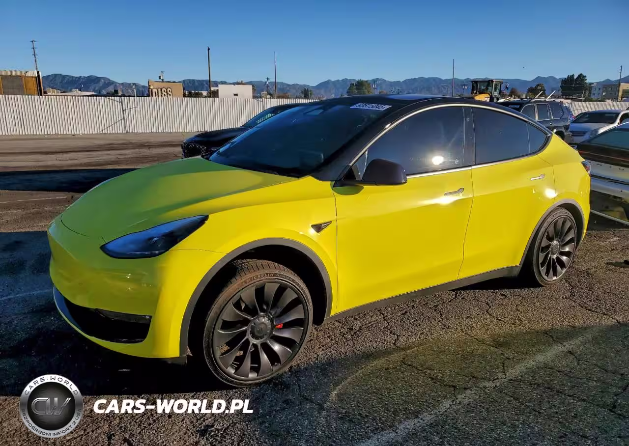 2023 Tesla Model Y