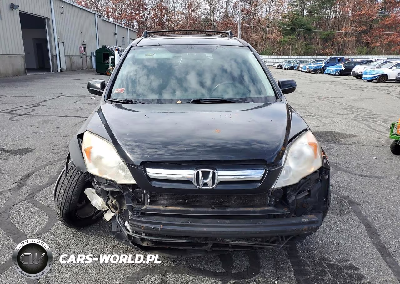 2009 Honda Cr-V Exl VIN:JHLRE48729C022601 - 5