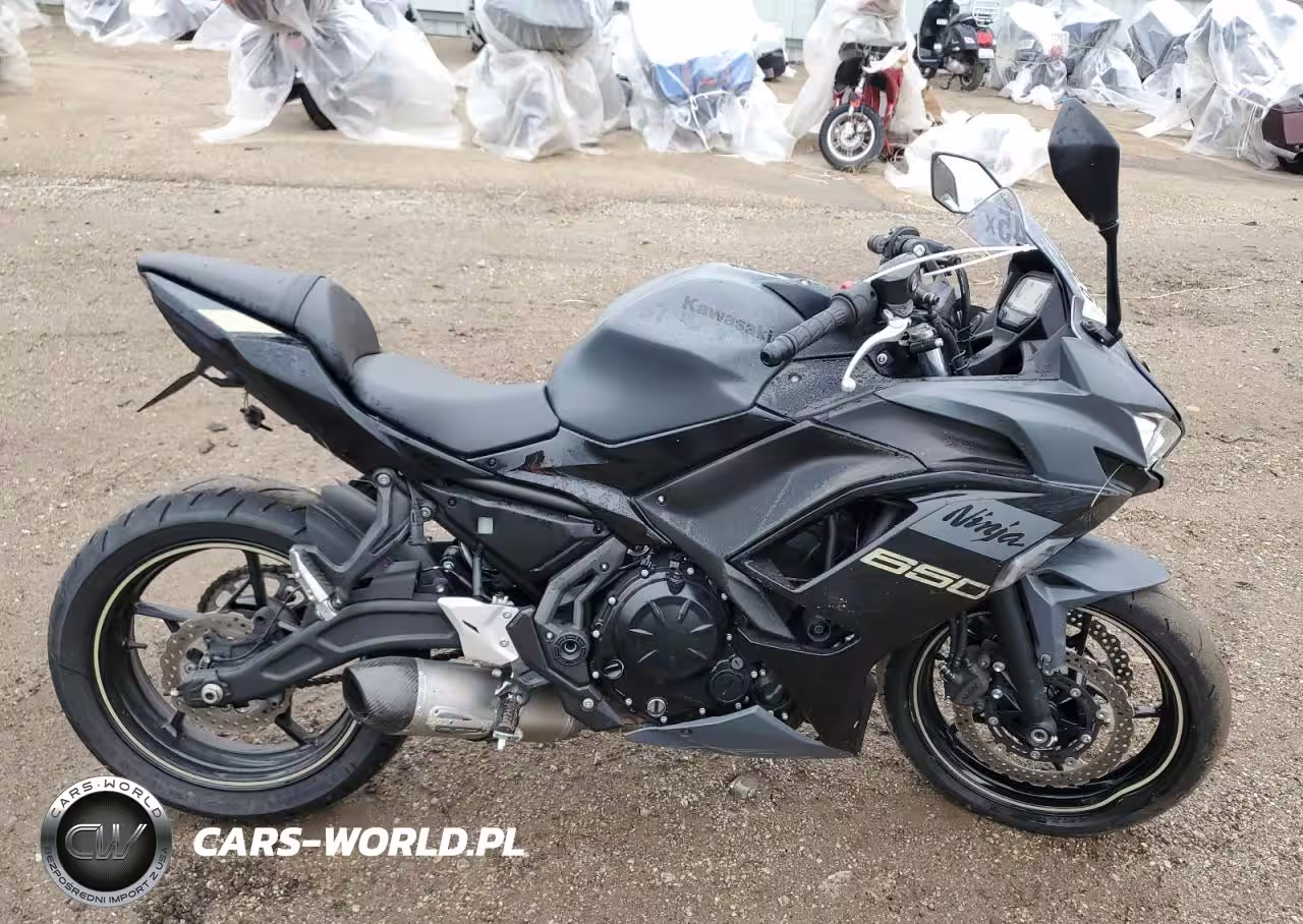 2024 Kawasaki Ex650 R