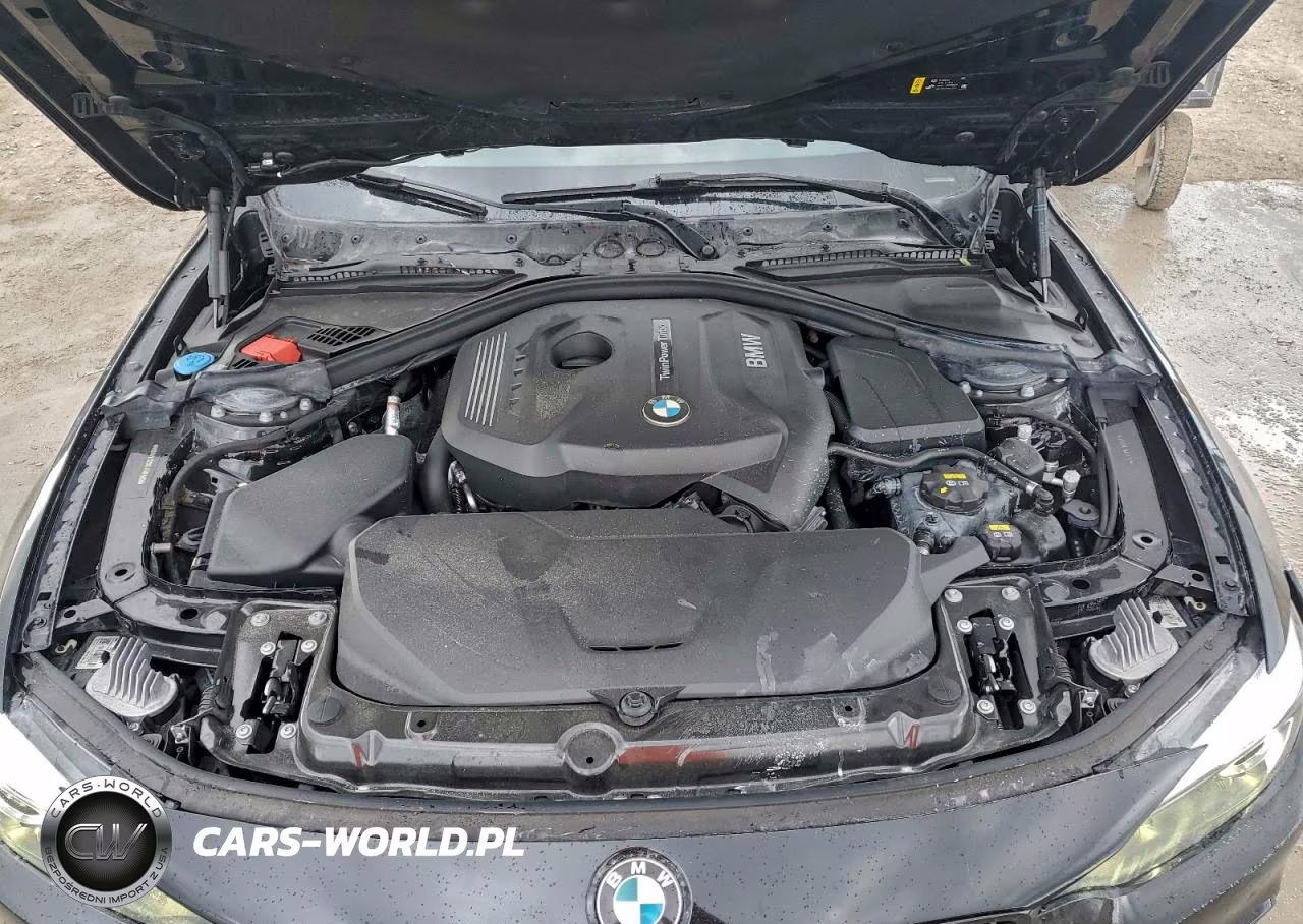 2020 BMW 430I VIN:WBA4W3C06LAG91580 - 11