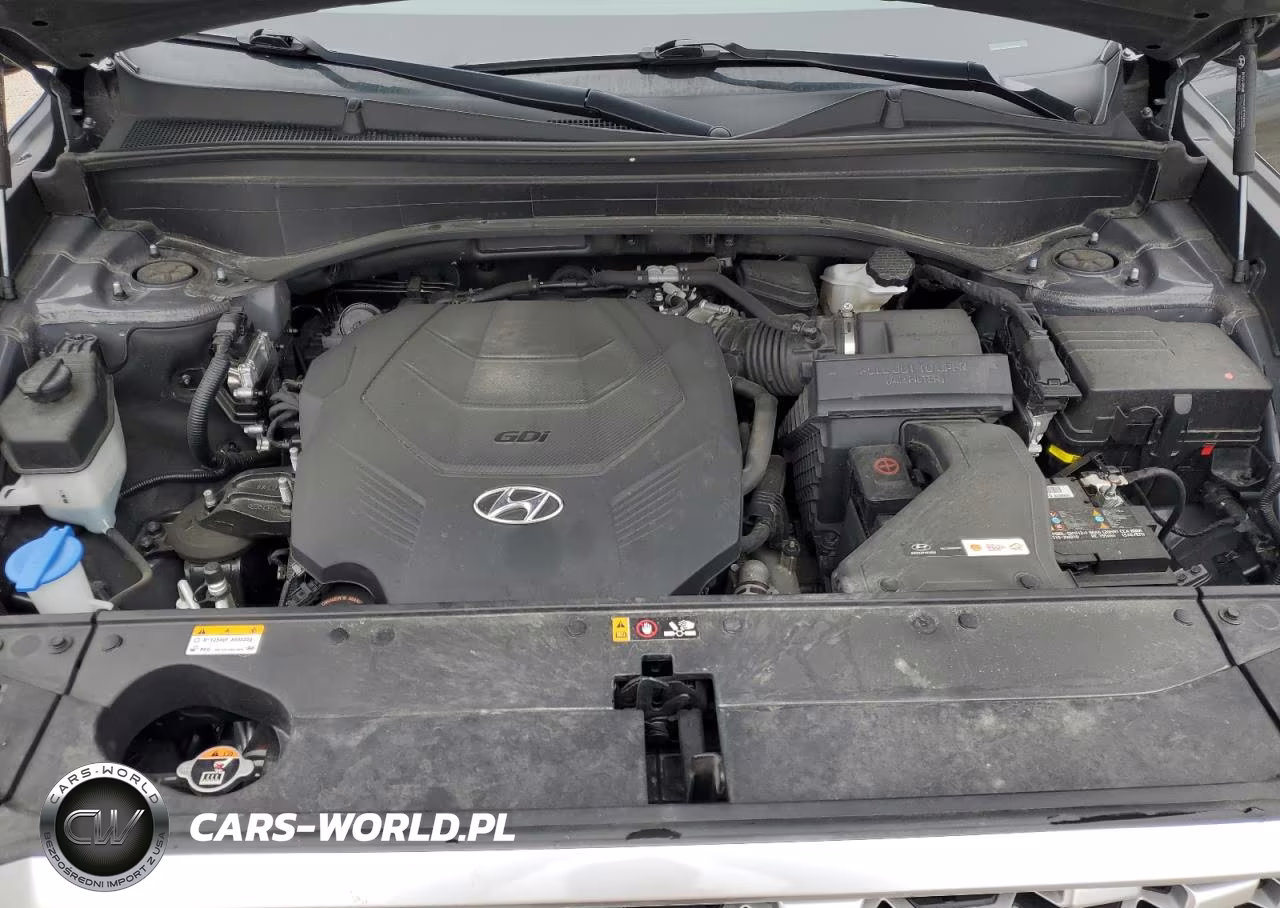 2021 Hyundai Palisade Sel VIN:KM8R4DHE6MU175138 - 12