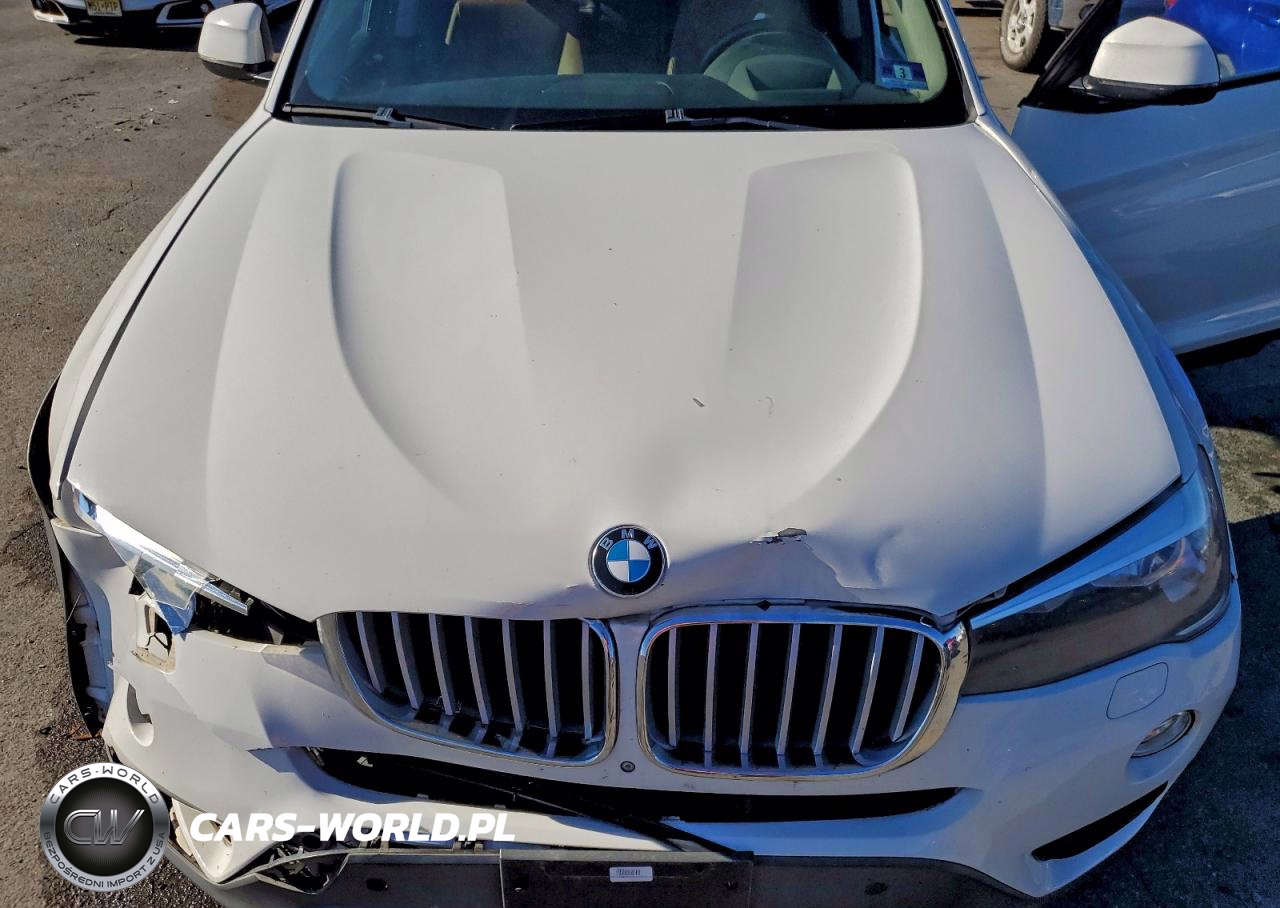 2017 BMW X3 xDrive28I VIN:5UXWX9C52H0T13689 - 11